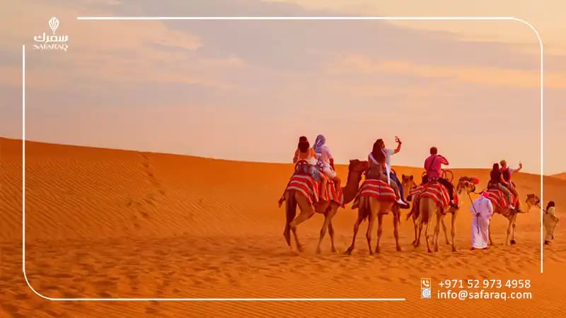 Desert Safari and Relaxation