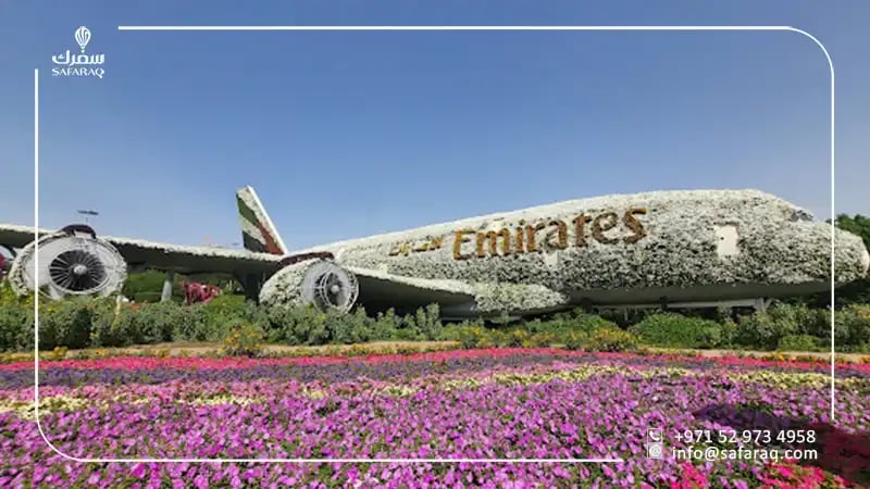 طائرة من الزهور في دبي