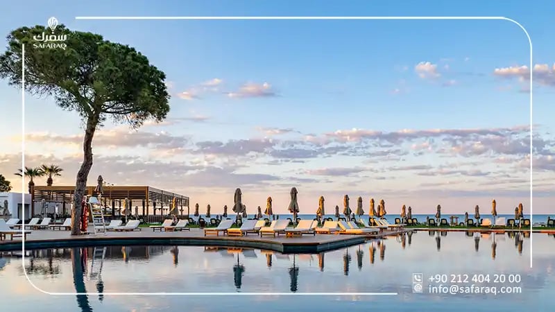 ريكسوس بارك بيليك