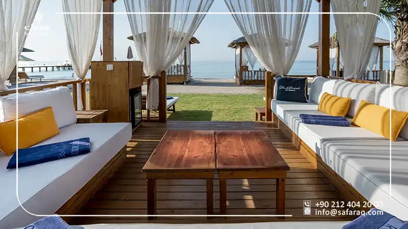 ريكسوس كلوب بريفي بيليك