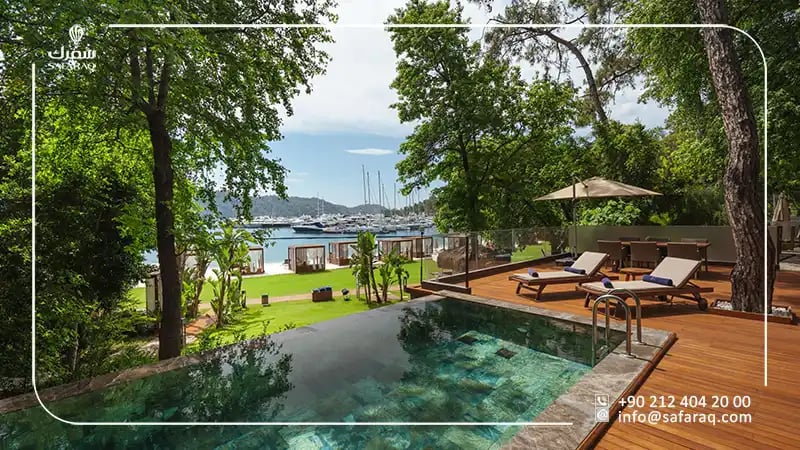 ريكسوس كلوب بريفي غوتشيك