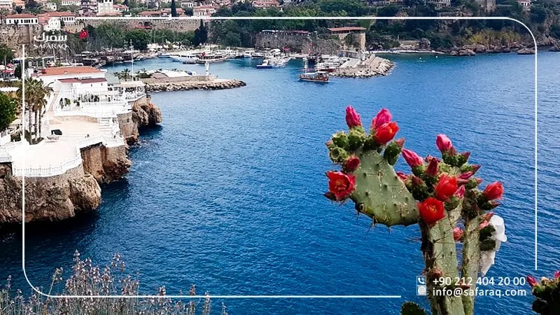 حديقة يافوز أوزجان