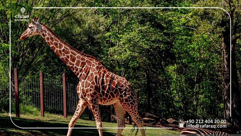 حديقة الحيوانات في أنطاليا