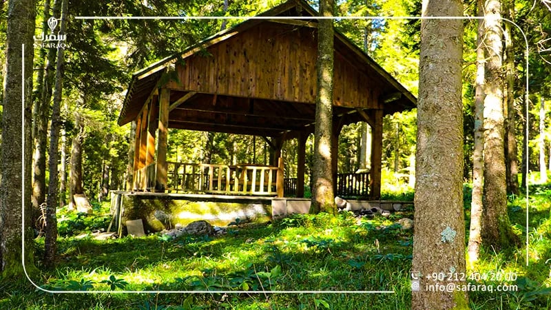 Cal Camille Tabiat Park