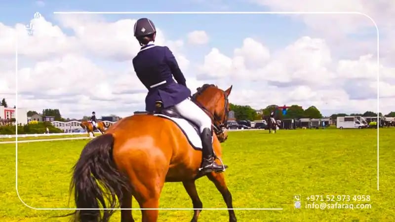 نادي المرابع العربية للفروسية