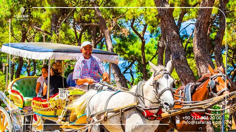 Ride a Horse-Drawn Carriage in Princes' Islands