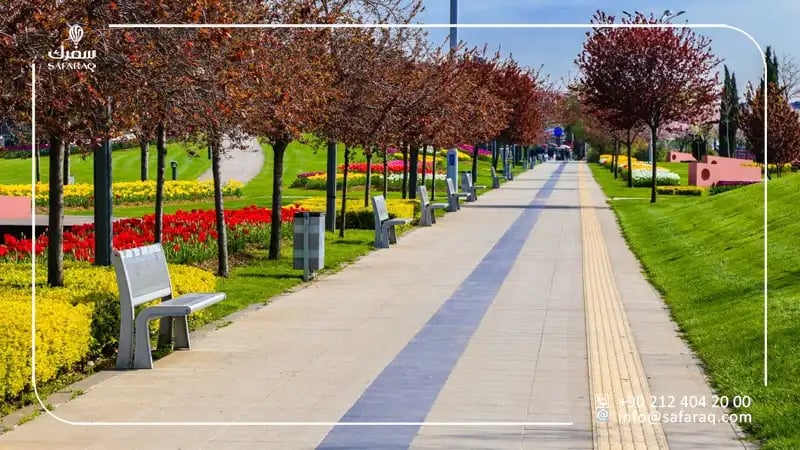 حديقة سيكا حديقة العجائب