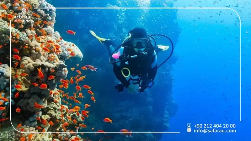 رحلة الغوص في ازميت