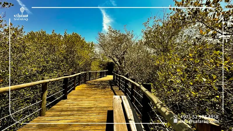 Tourist Activities in the Khor Kalba Mangrove Reserve