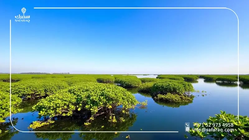Cultural and Touristic Significance of the Reserve