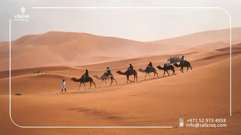 Camel Riding Spots in the UAE