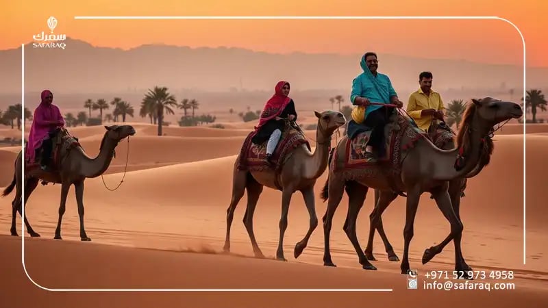 Camel Riding in the UAE