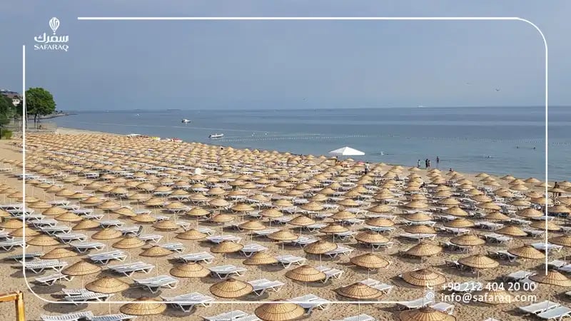 ساحل فلوريا