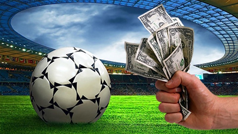sports training salaries