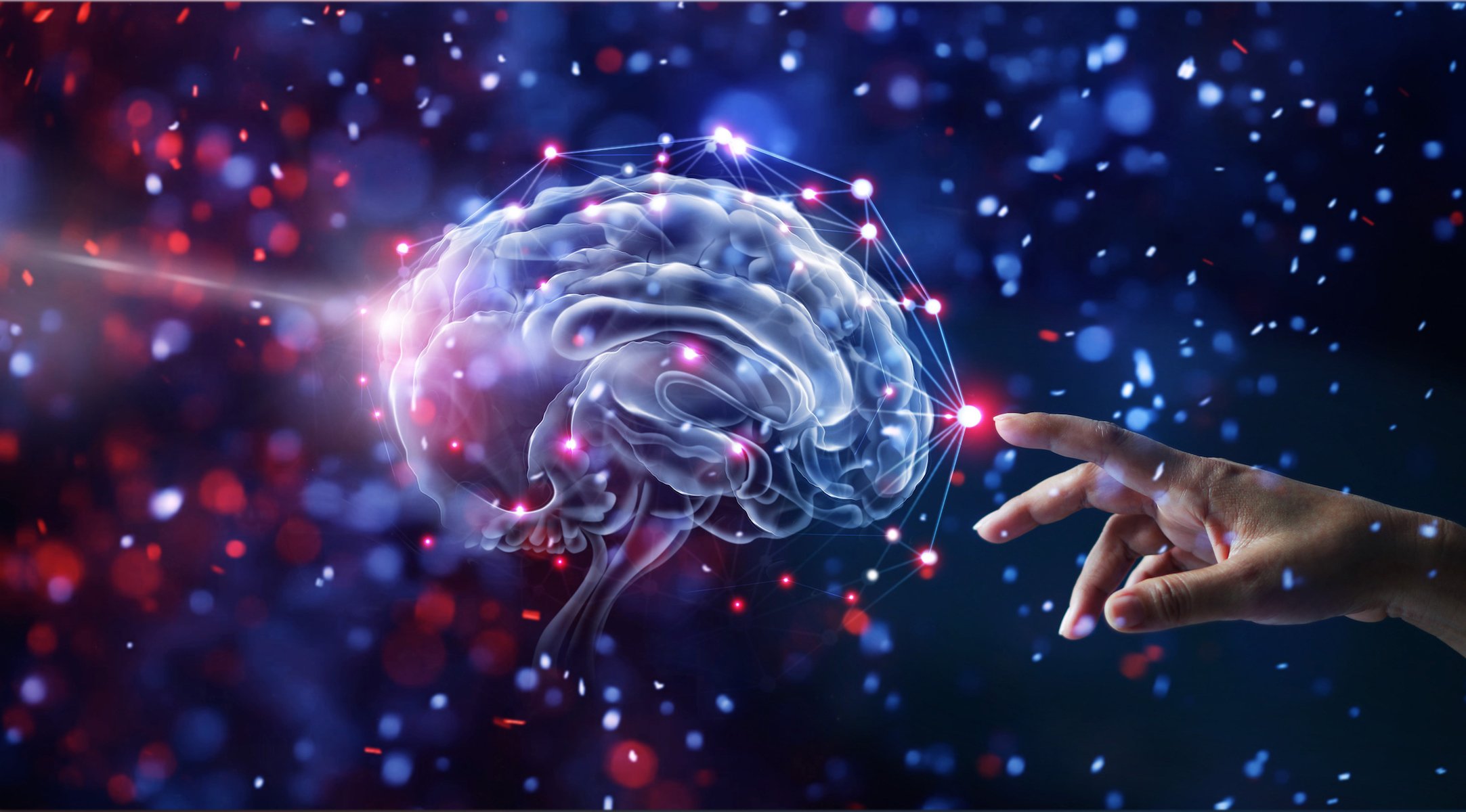conditions of study of psychology in Turkey