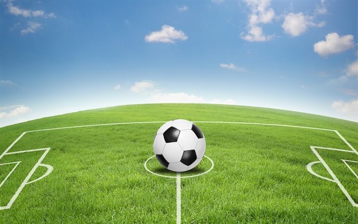 requirements of sports management work