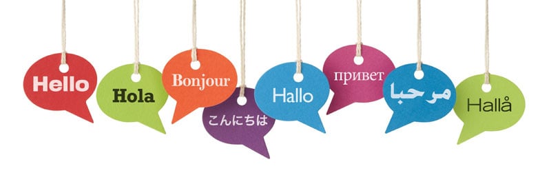 تخصص الترجمة في تركيا