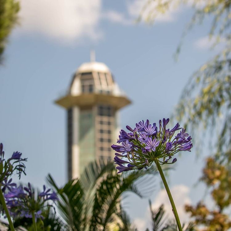 Sabancı University ranking