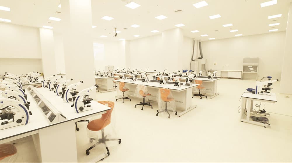 Atlas University Specialties