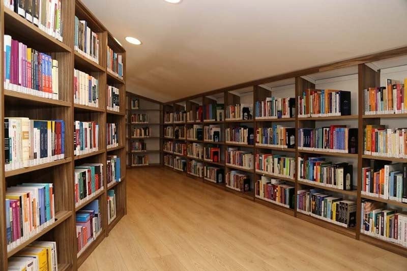 جامعة أيفان سراي تخصصات
