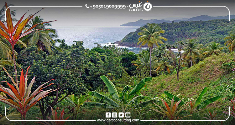 دولة دومينيكا