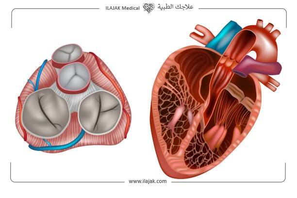 أمراض القلب