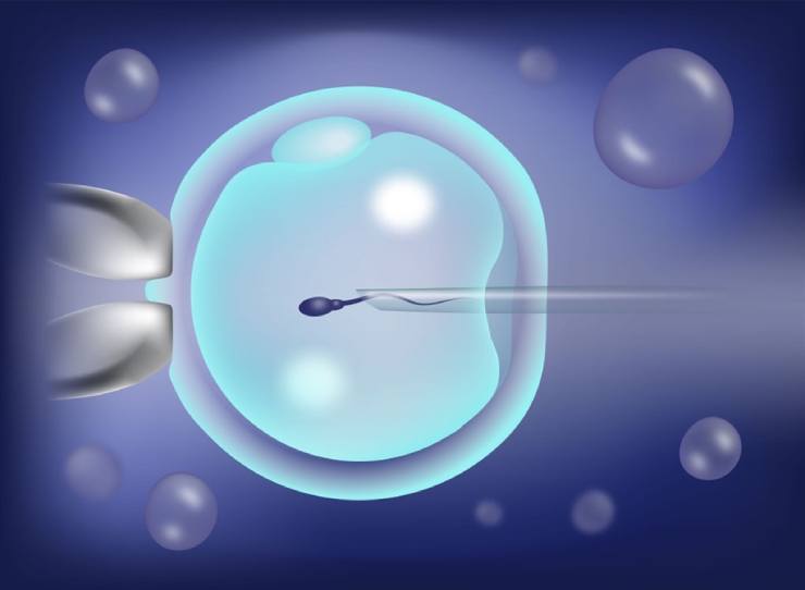 injection microscopique