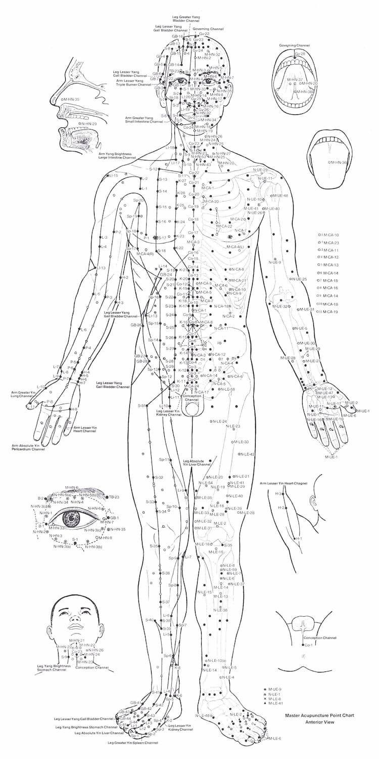 Schéma des points d'acupuncture