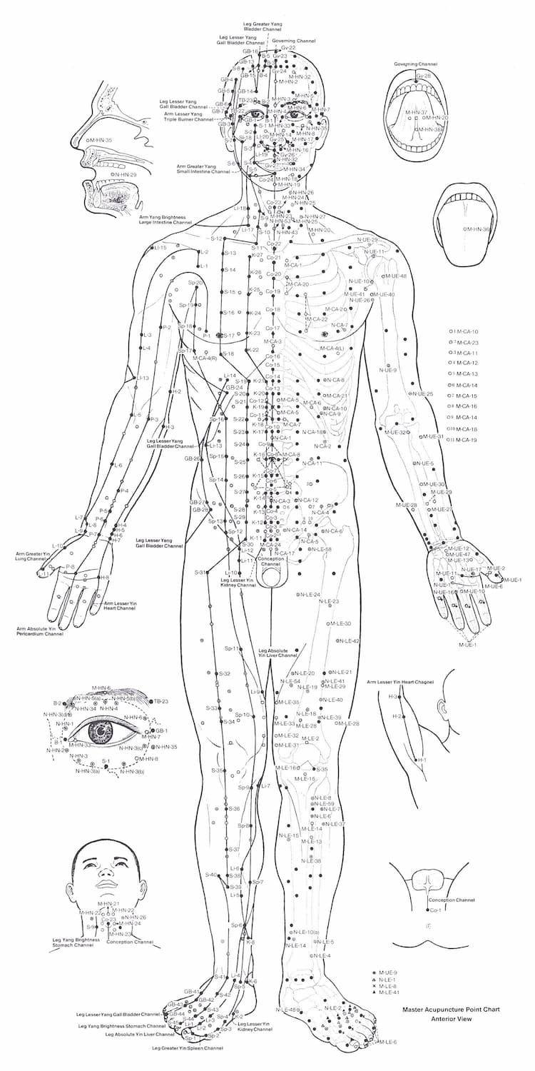 Schéma des points d'acupuncture