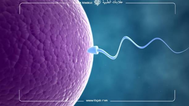 Causes d'infertilité masculine