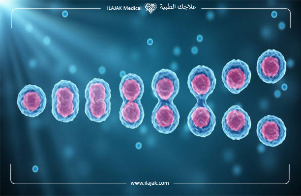 فكرة علاج العقم عند الرجال بالخلايا الجذعية