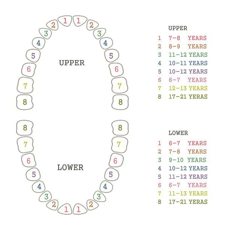 نظام qpdb