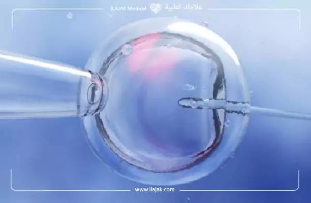 خطوات التلقيح الصناعي بالصور