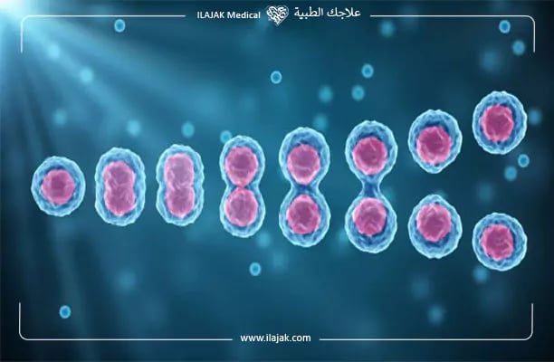 علاج العقم عند الرجال بالخلايا الجذعية