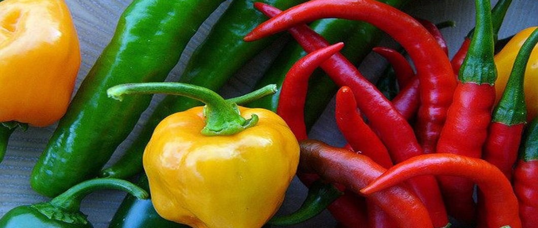 Hot pepper