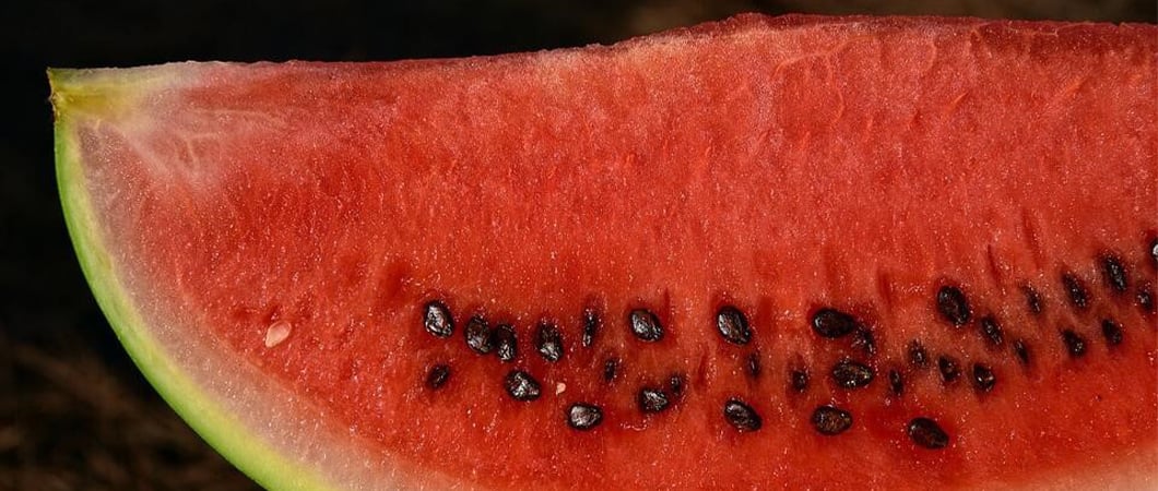 watermelon seed benefits