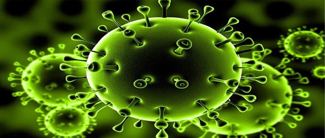 Coronavirus update