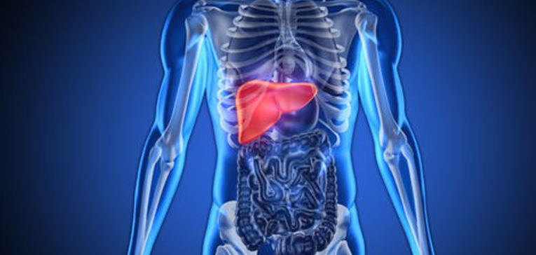 Organ transplantation in turkey