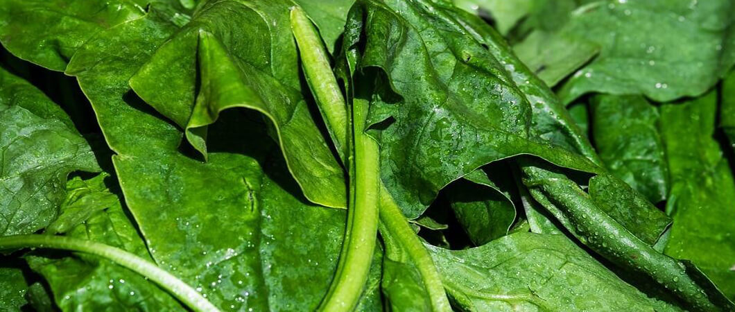 Frozen Spinach