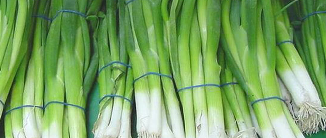 Green Onion