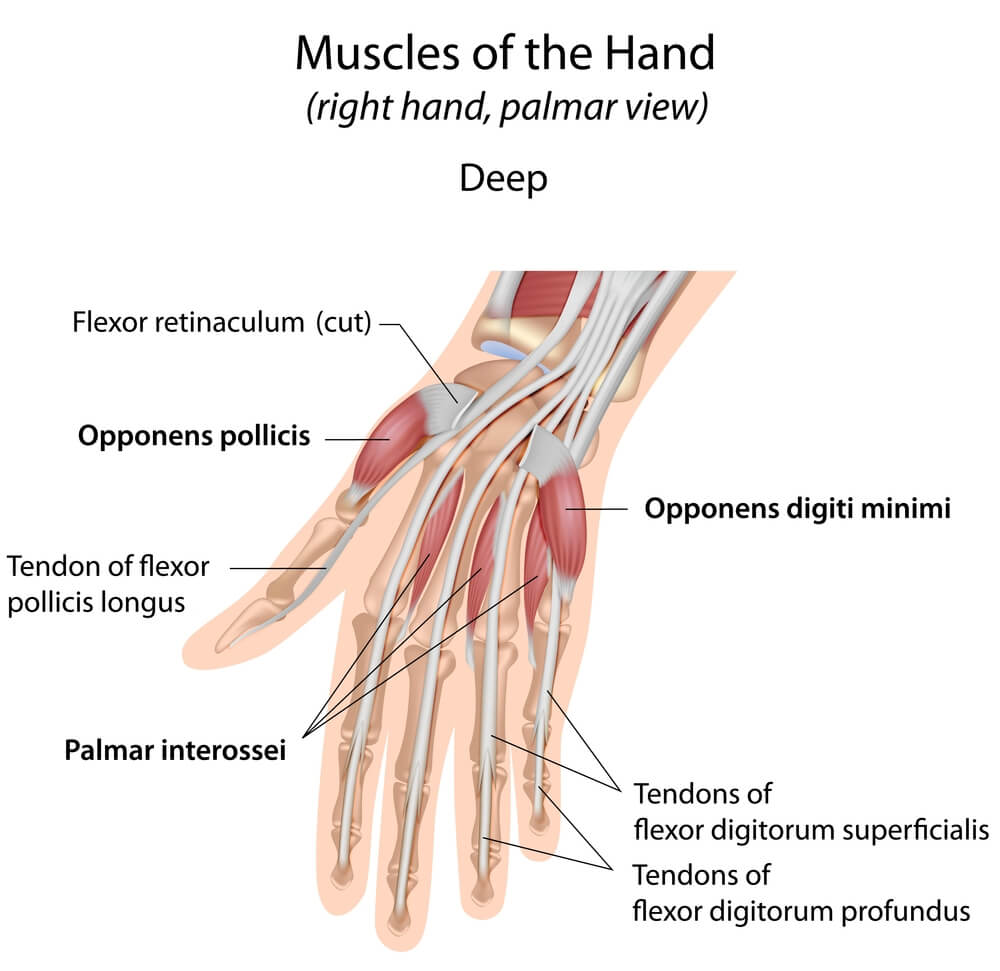 Hand surgery