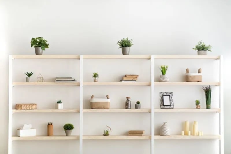 Bookshelf with plants