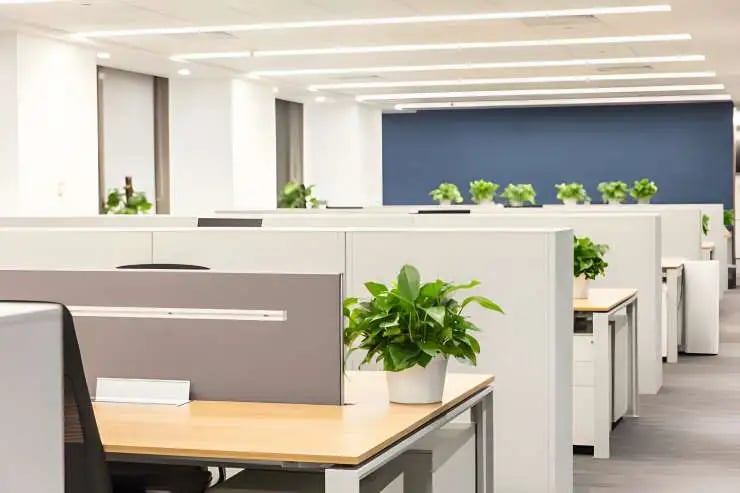 use room divider to reduce cost