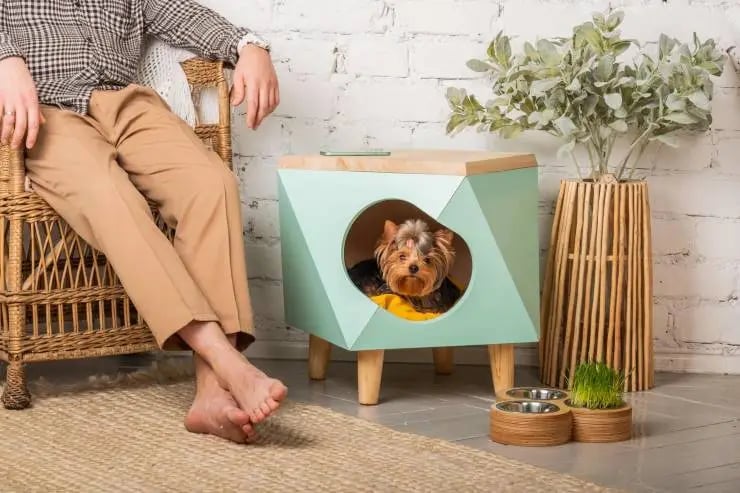 dog peeps out of his beautiful animal house