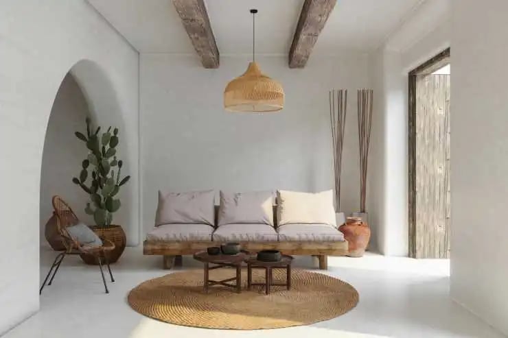 Cactus in a living room beside the sofa