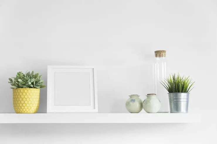 plants on a floating shelf