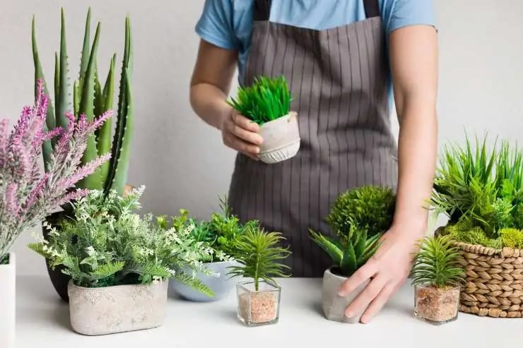 Woman putting potted plant on table