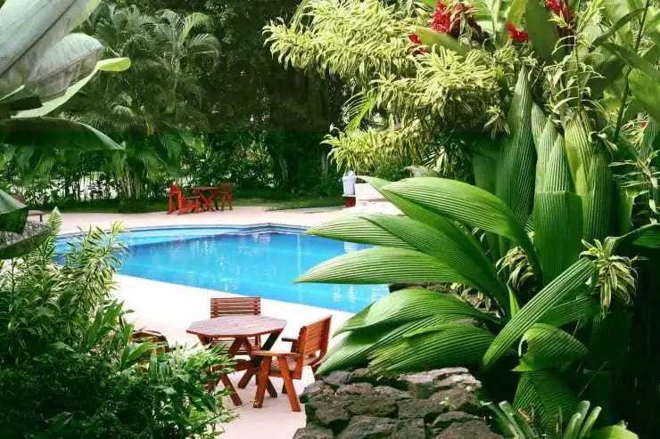 tropical style pool