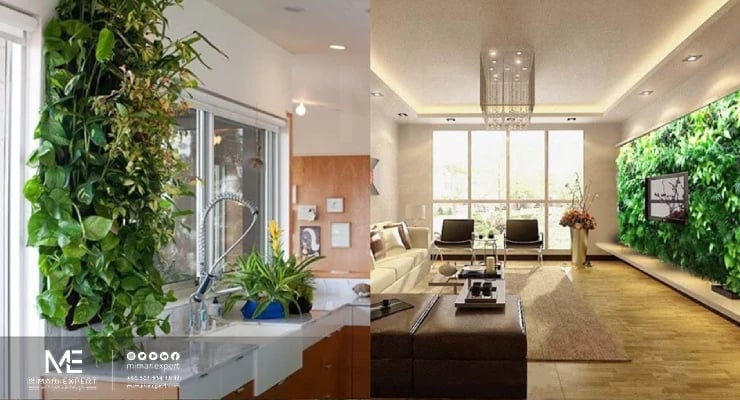 النباتات الجدارية