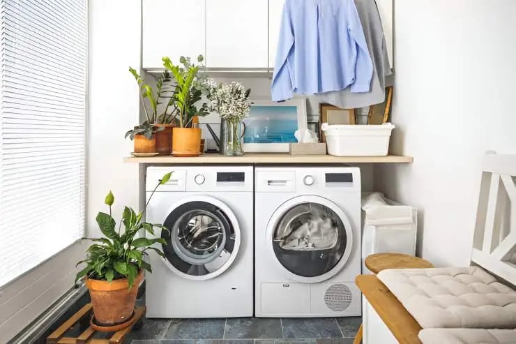 add flower and plants to the laundry room